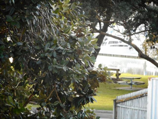 Apartment By The Marina Whitianga Buitenkant foto